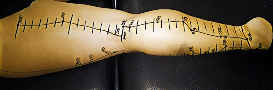 meridiano bexiga pontos de acupuntura na perna